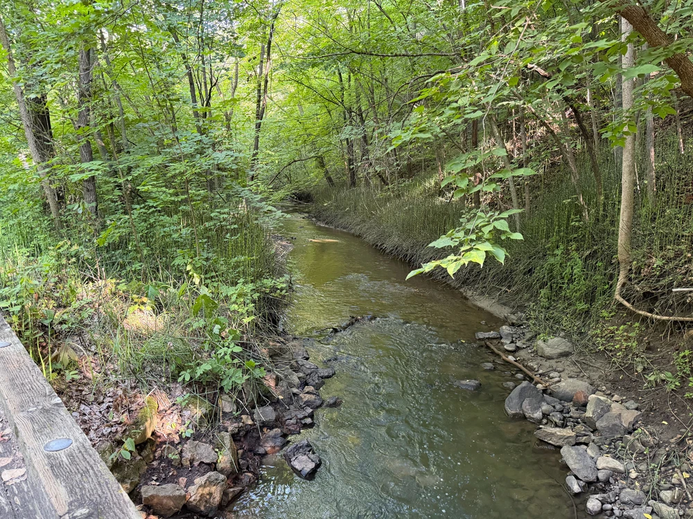 A stream