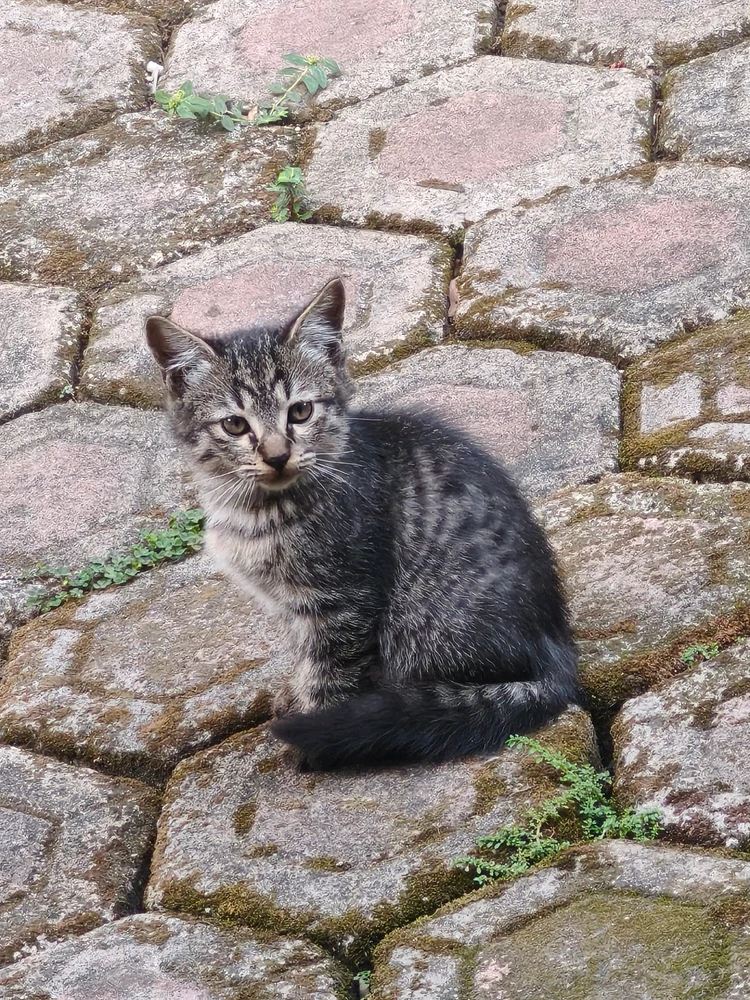 GIF uploaded by Josee