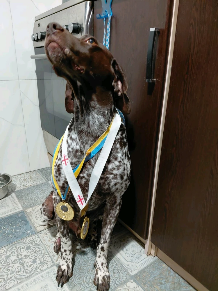 GIF uploaded by Nika