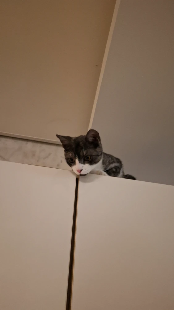 GIF uploaded by Nylej