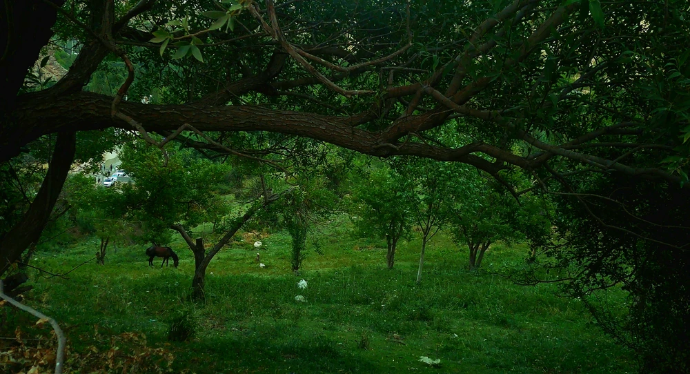 GIF hochgeladen von robie