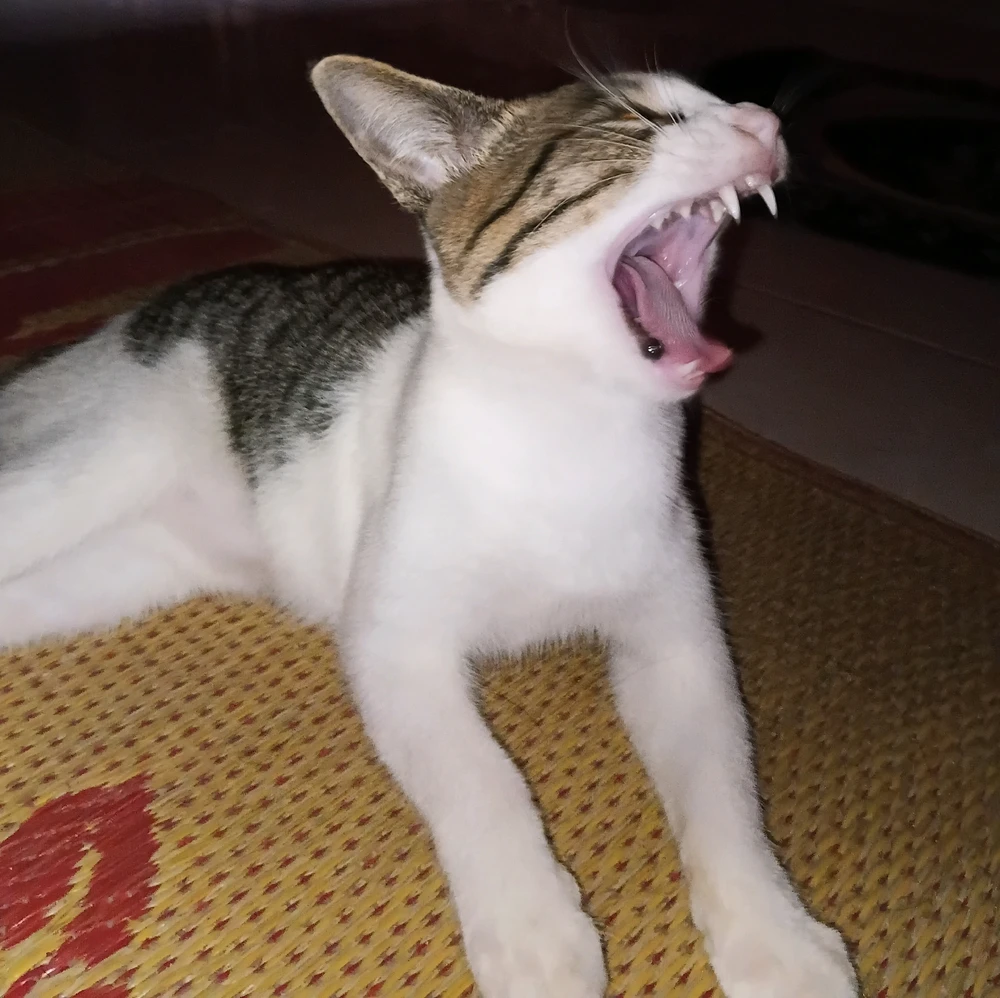 GIF uploaded by Fina