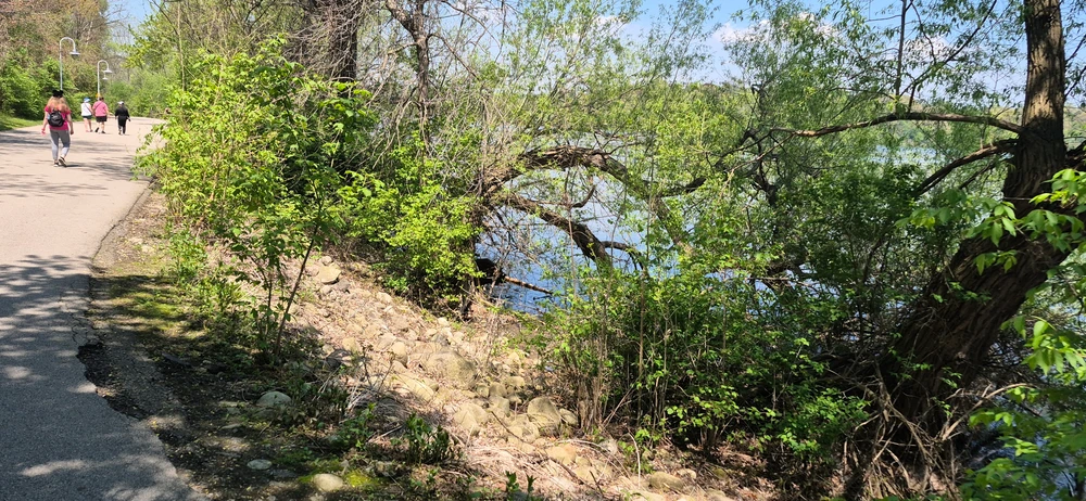 GIF uploaded by Kody
