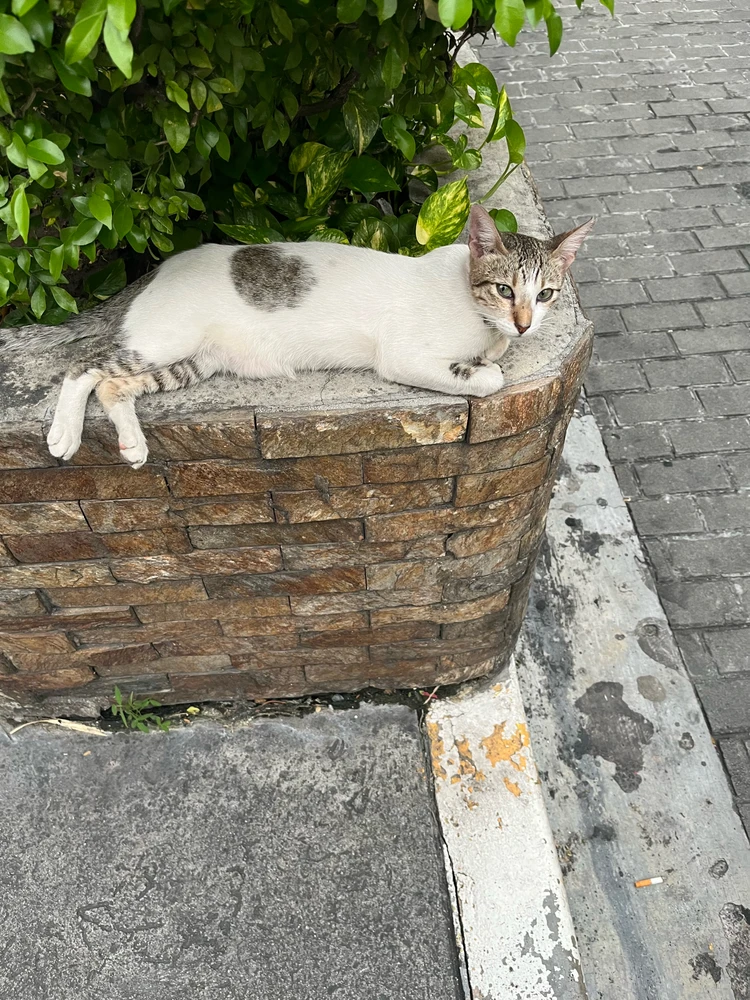 GIF uploaded by James Cedrick Odrada