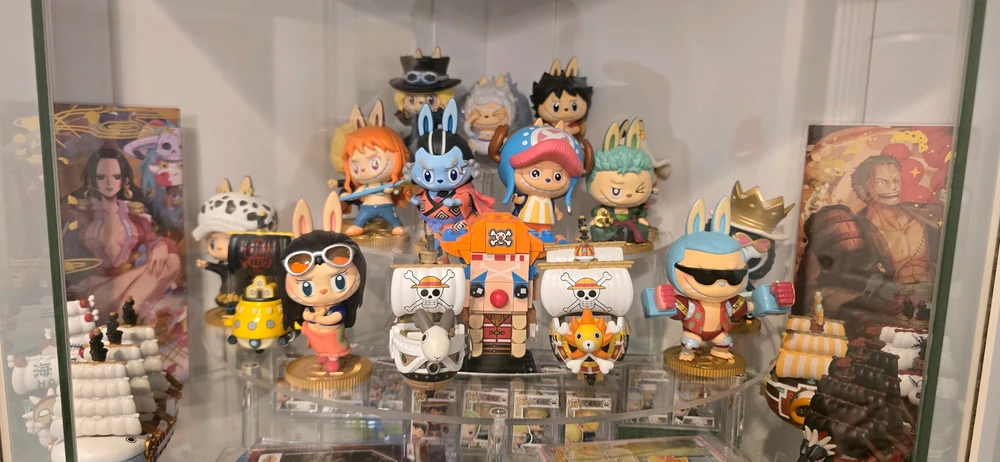 One piece popmart collection