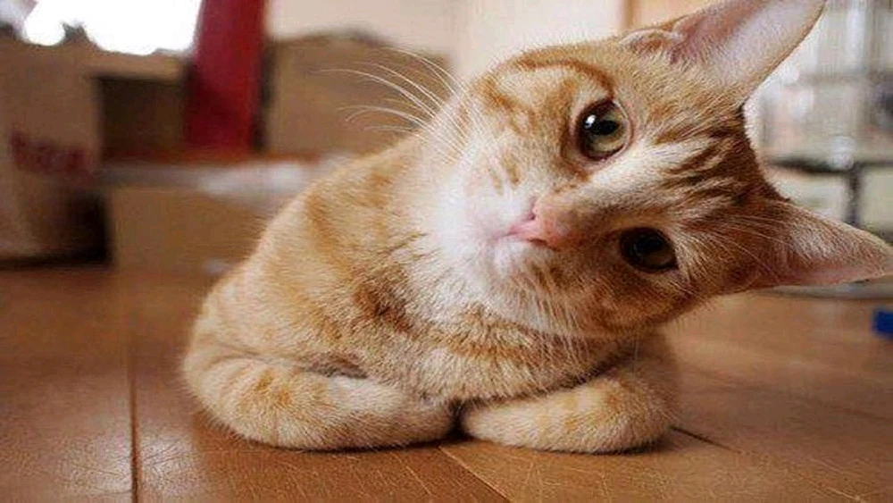 GIF uploaded by Mohak