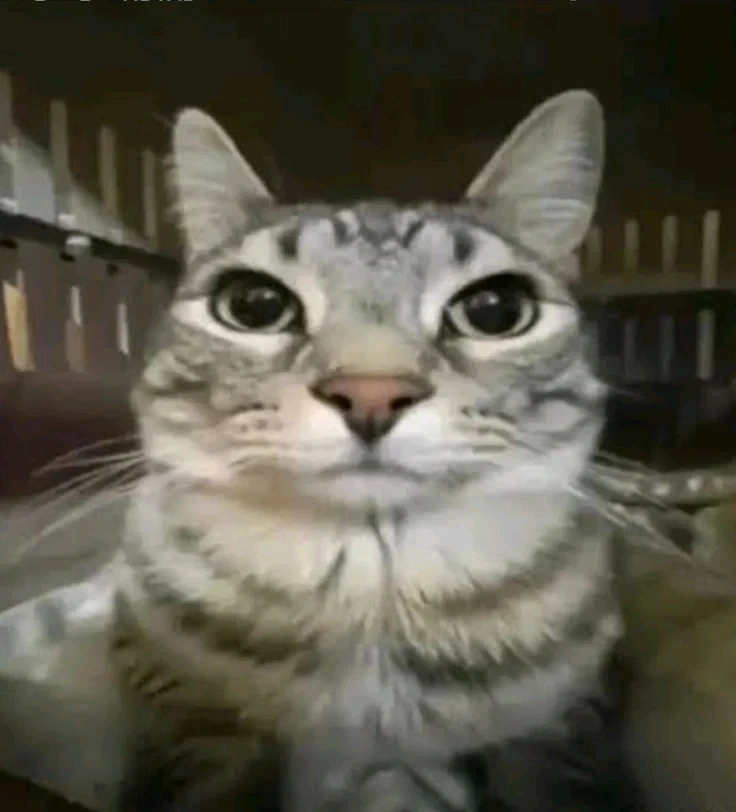 GIF ilipakiwa na Puppet