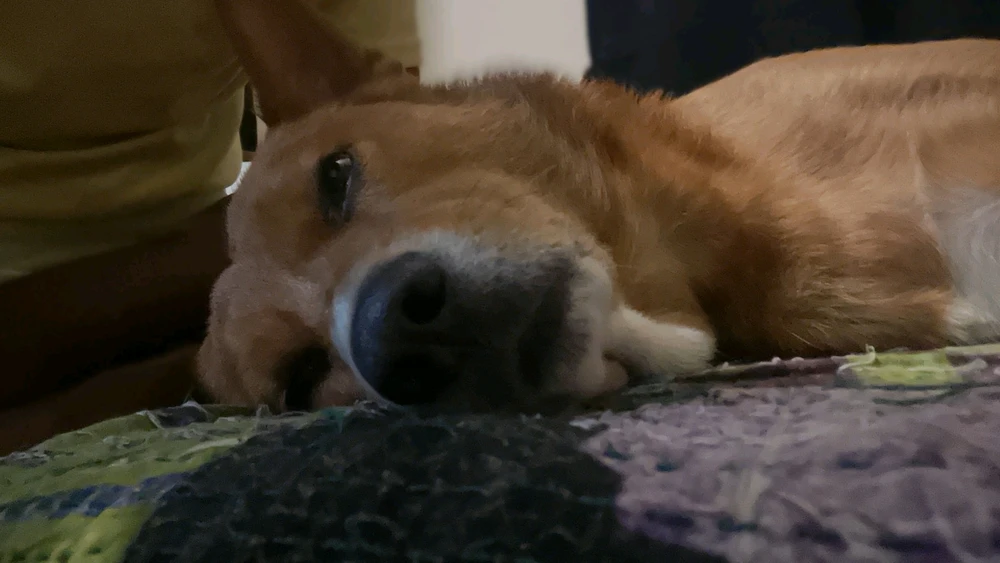 GIF uploaded by Franklin
