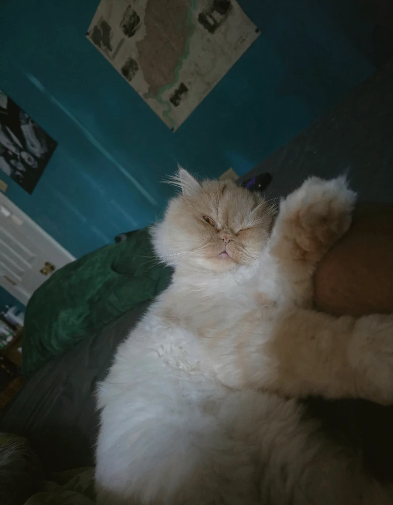 GIF uploaded by Emiliano