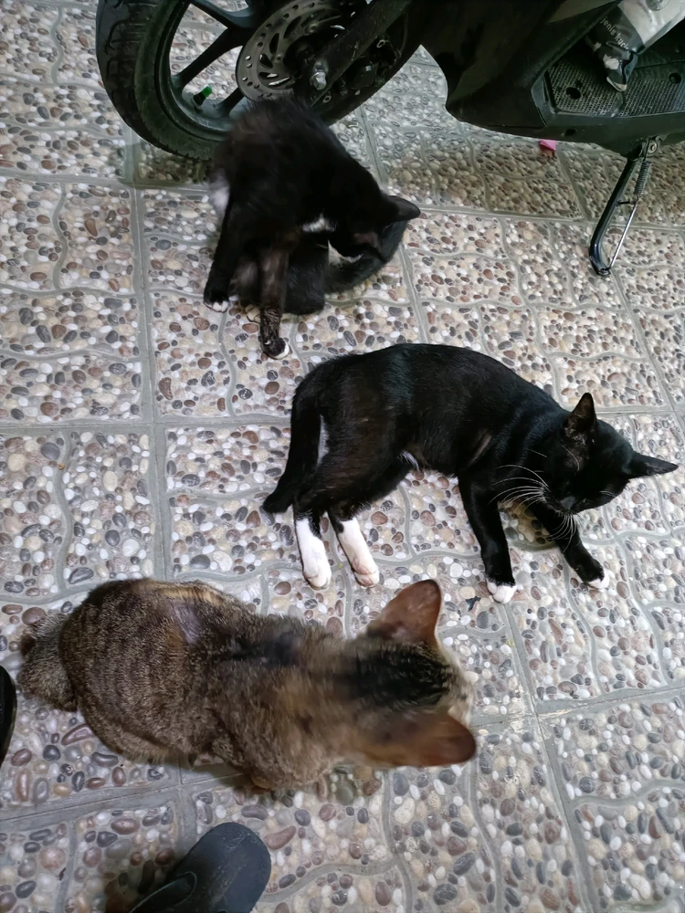 GIF uploaded by Thieka