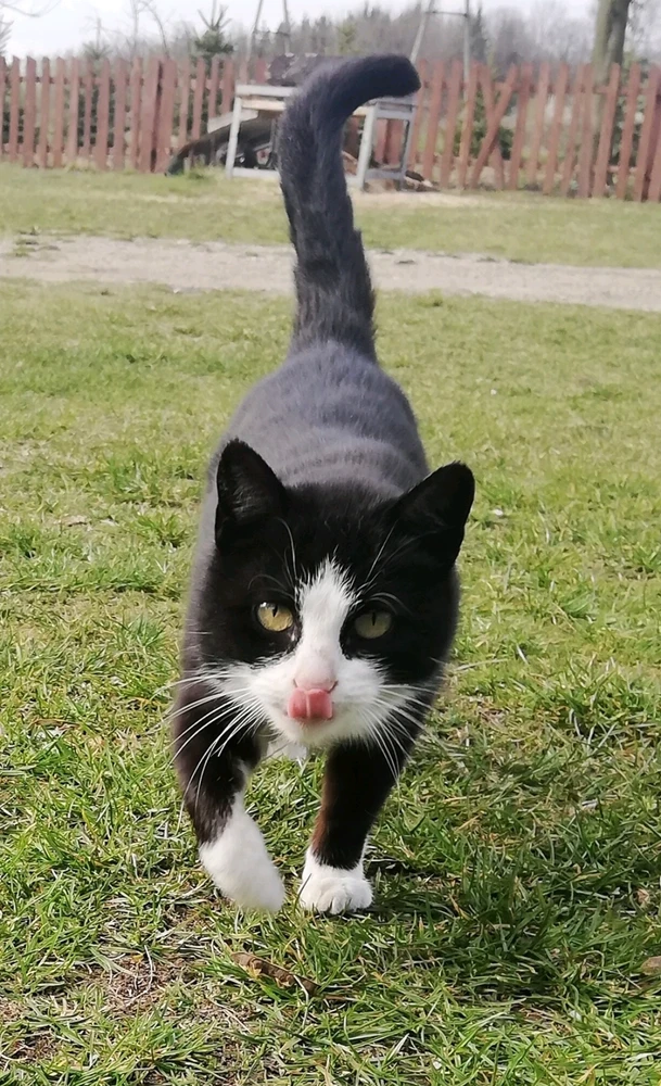 GIF uploaded by Mikołaj