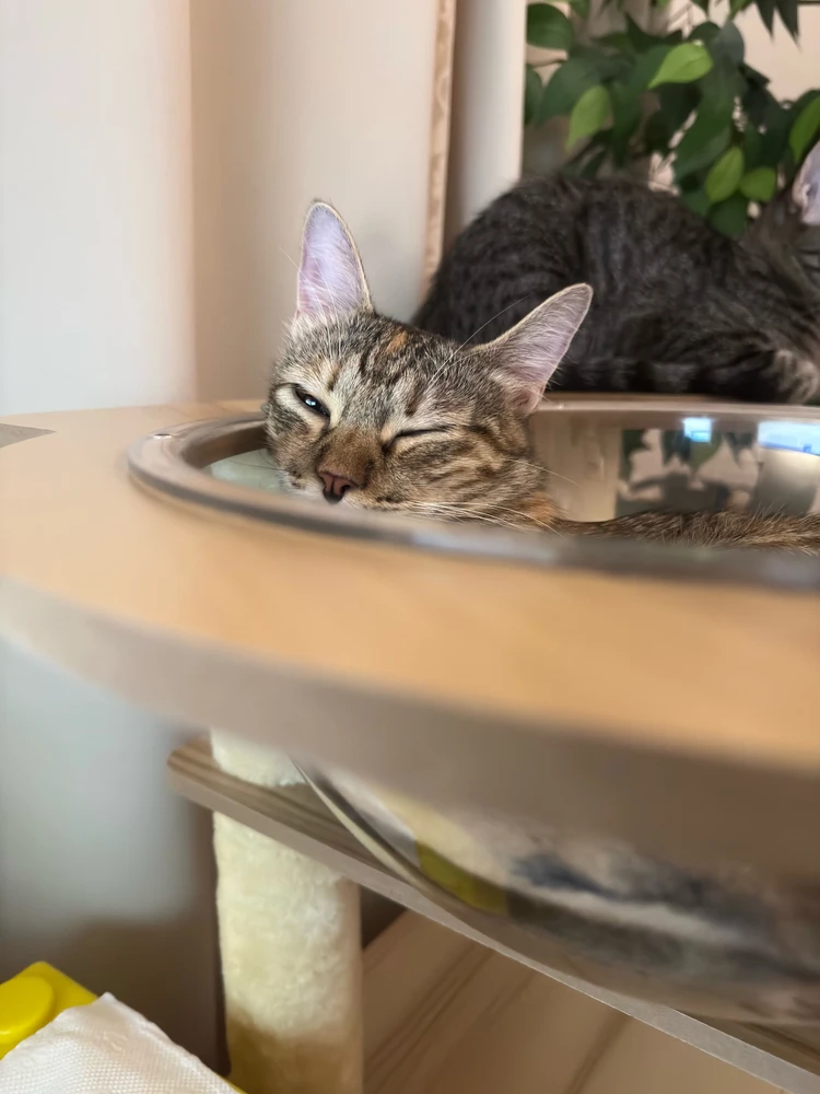 GIF uploaded by Qin