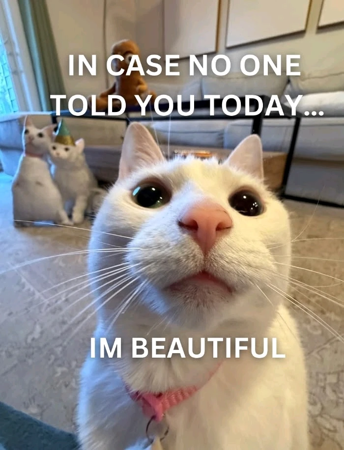 GIF uploaded by Tin