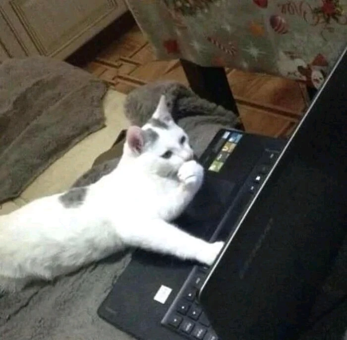 GIF ilipakiwa na Puppet
