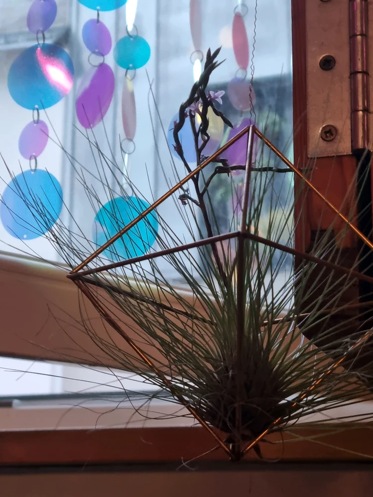 GIF hochgeladen von Aaron