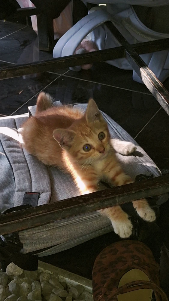 GIF uploaded by Ikanterika