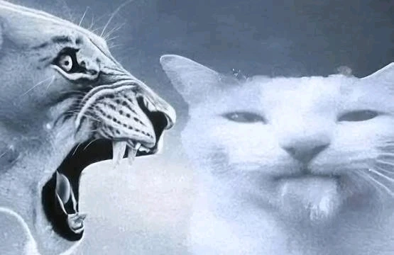 GIF uploaded by β π‘π¦π«π