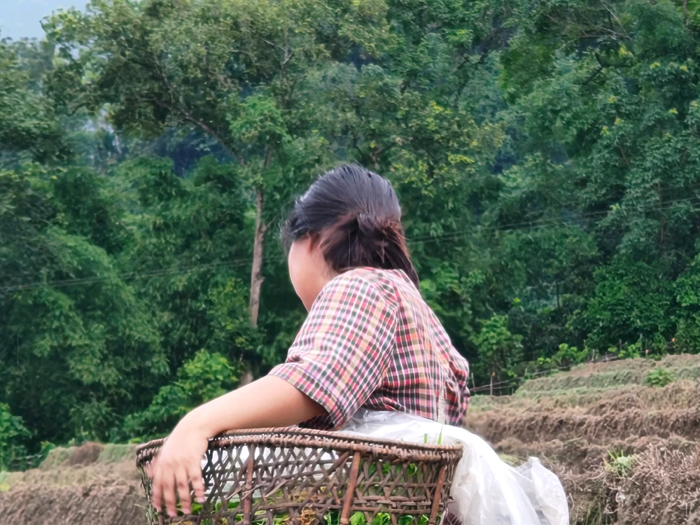 Gambar diunggah ku Ya mi