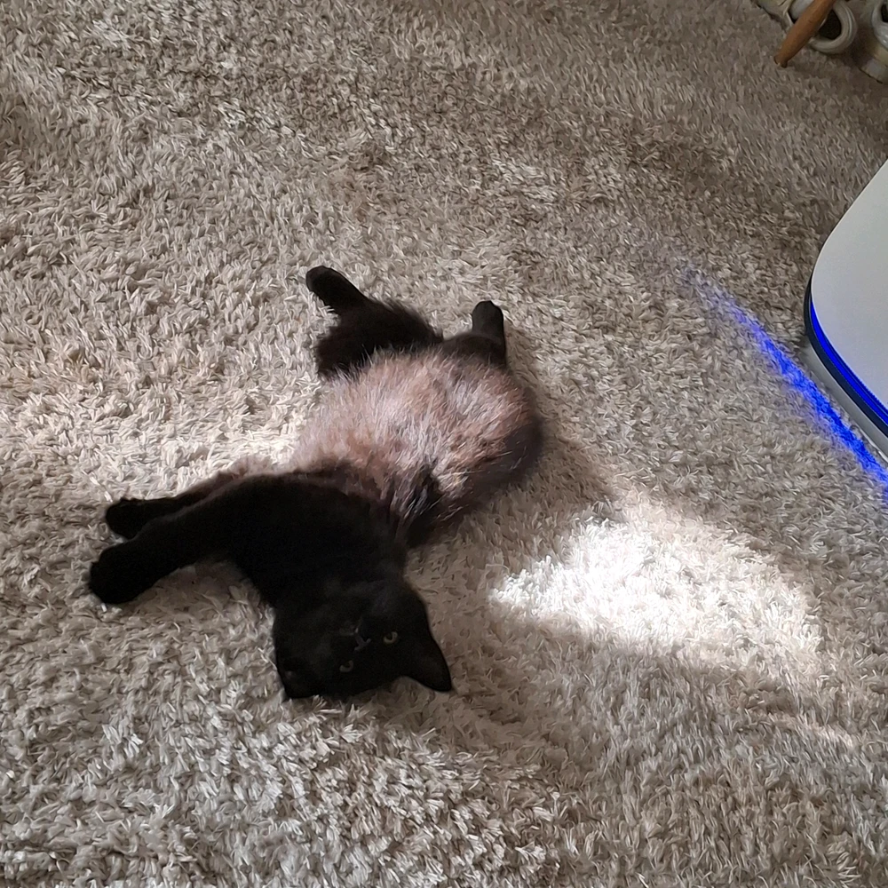 GIF uploaded by Kristina