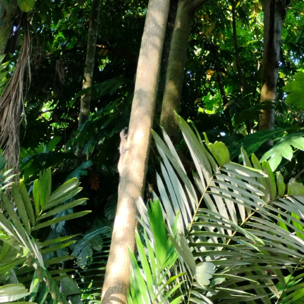GIF uploaded by Hana