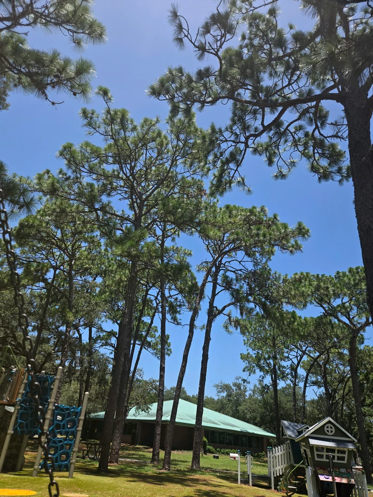 GIF uploaded by Ellie