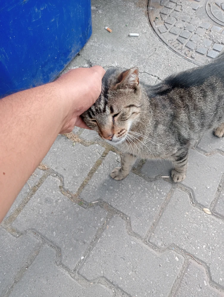 GIF uploaded by THELOSTWANTED