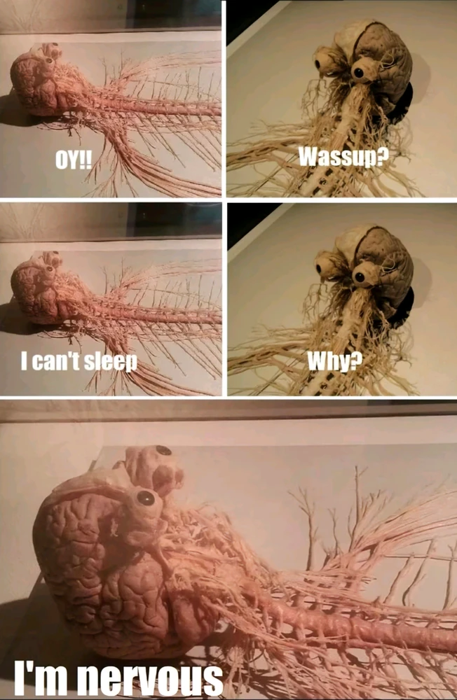 GIF uploaded by Doris