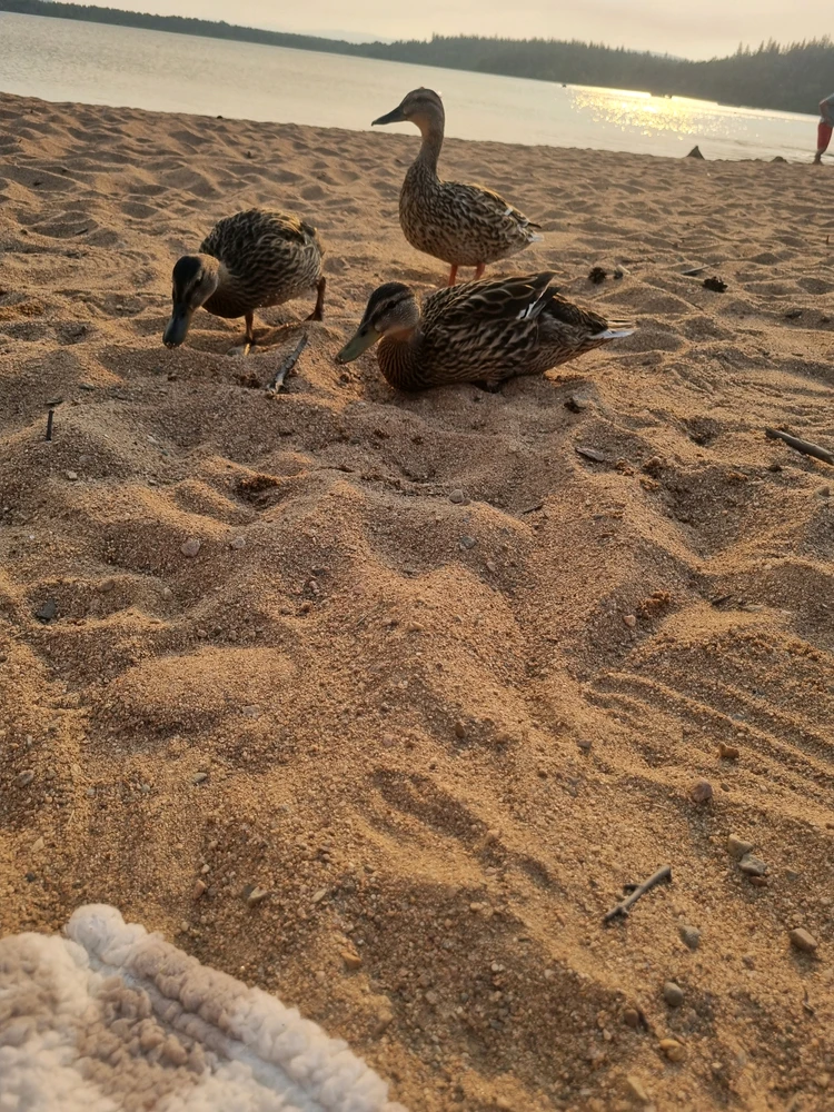 Image uploaded by Ildiko