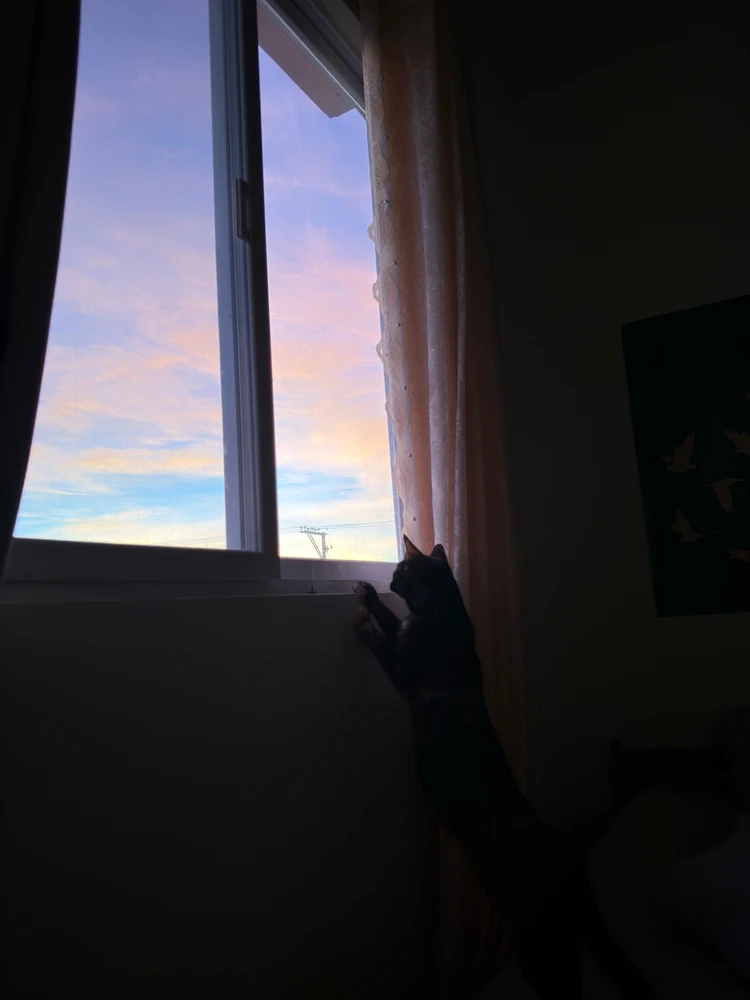 GIF imtella' minn Qin