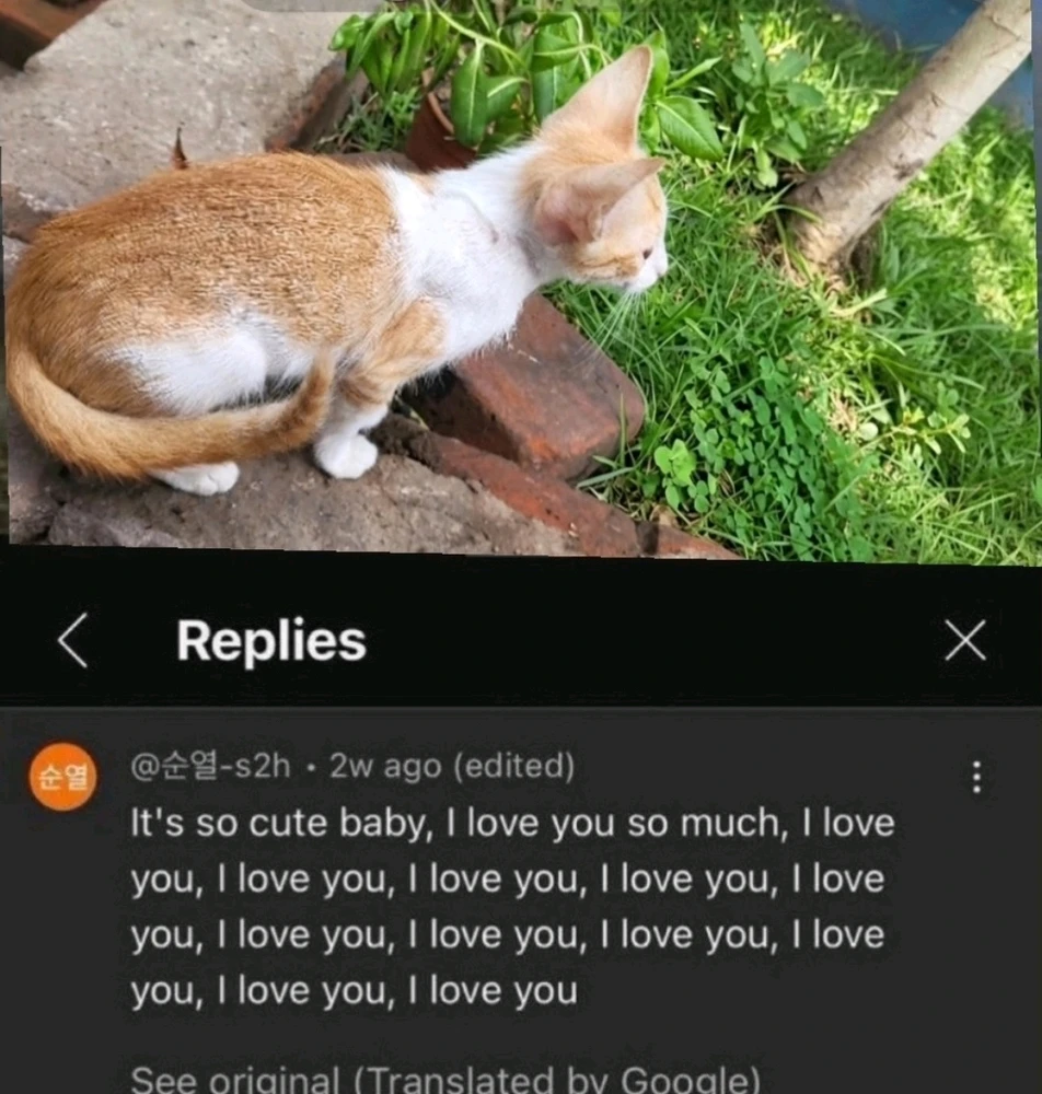 GIF uploaded by Rose