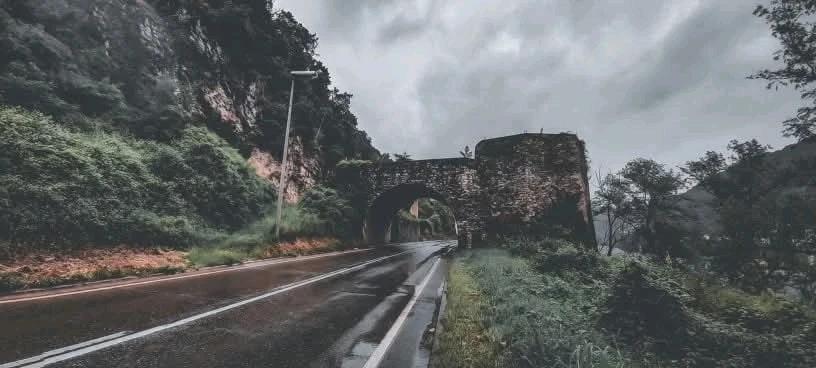 GIF üles laaditud kasutajalt Milos