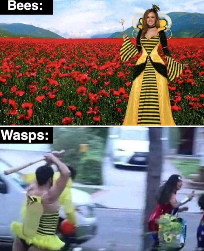 GIF uploaded by Benjiggity