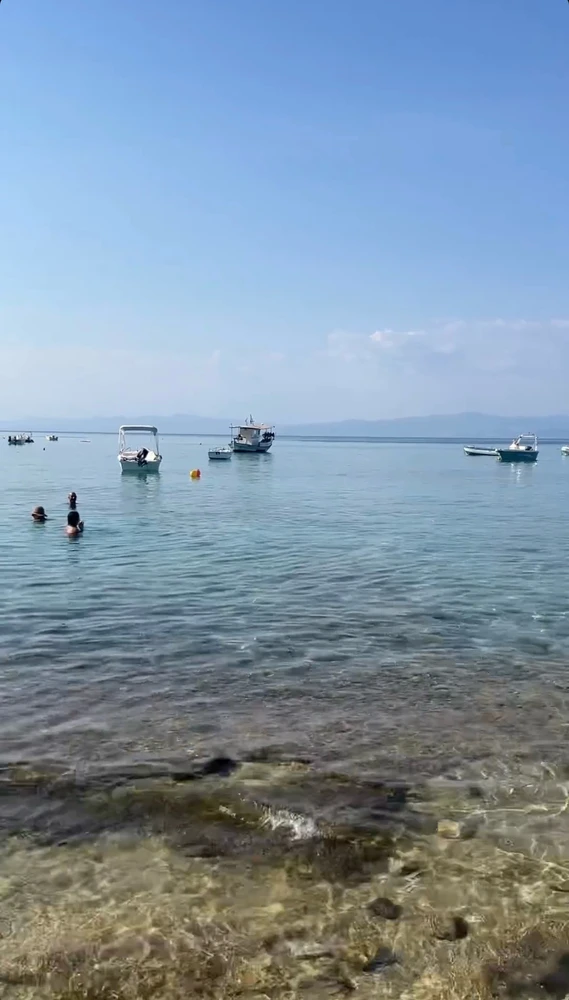 Image uploaded by Ahmed