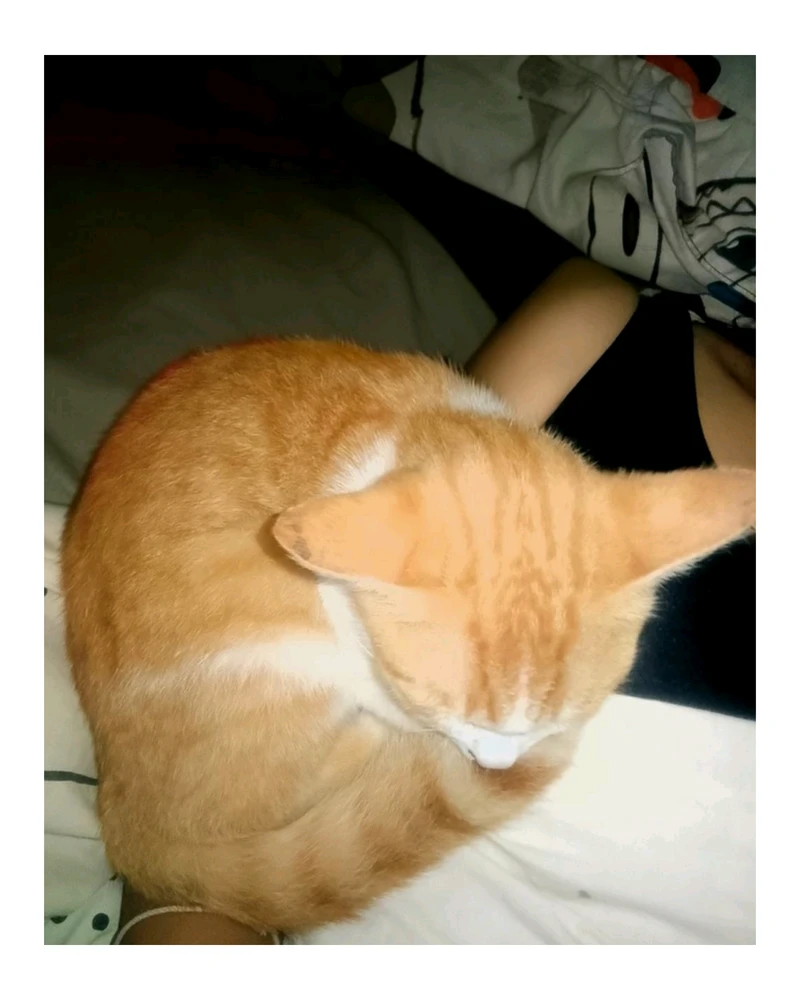 GIF uploaded by Love