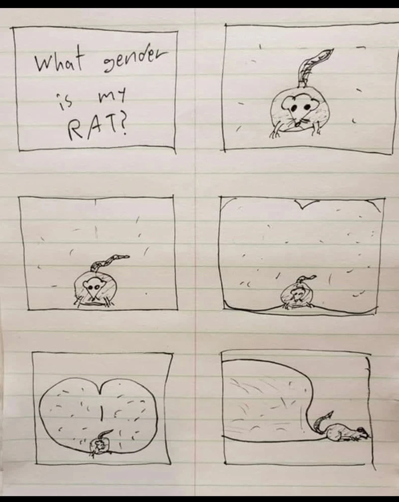 GIF uploaded by Marli