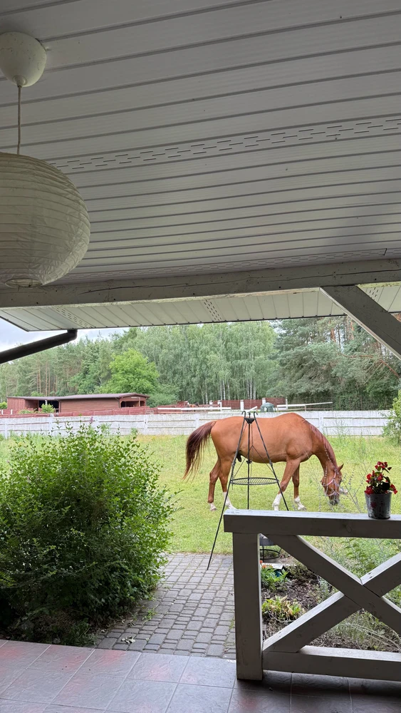 GIF uploaded by Harry