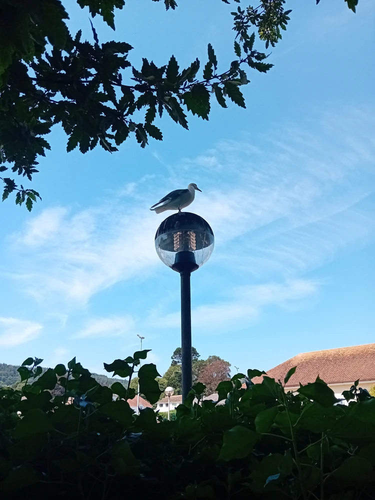 GIF uploaded by Saff