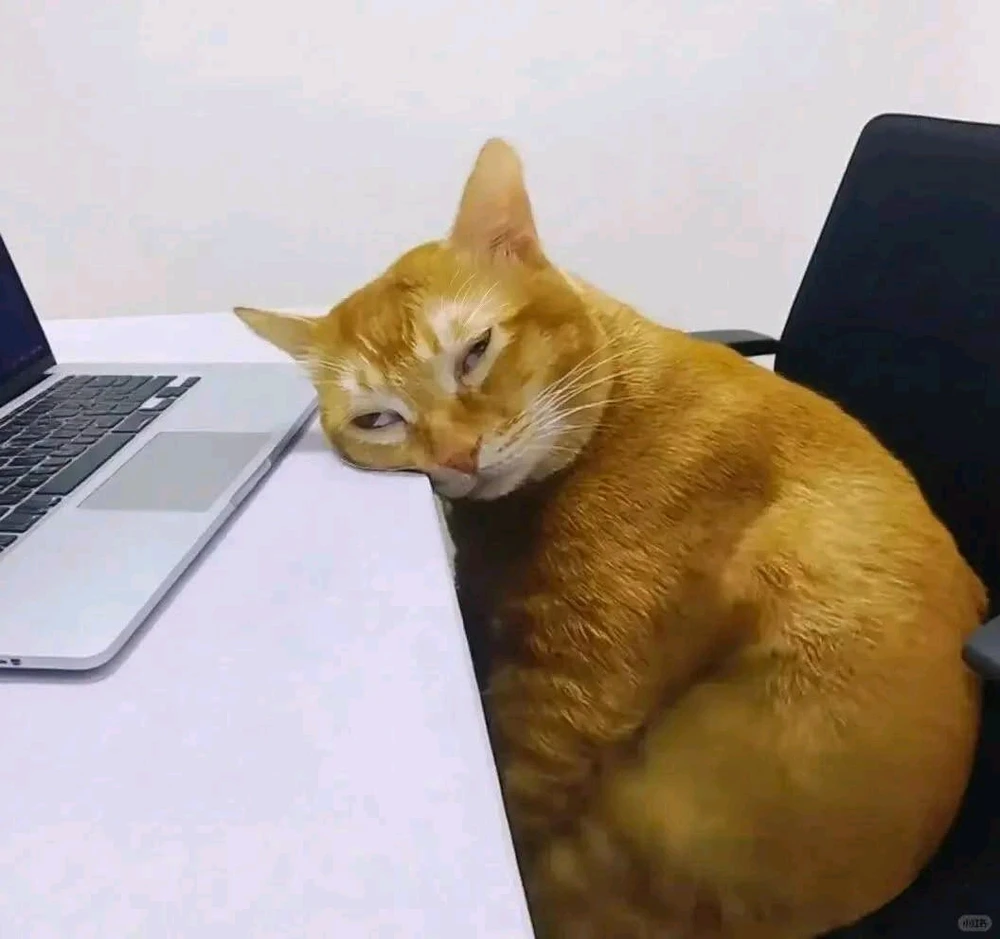 GIF อัปโหลดโดย Kan Unique(⁠≧⁠▽⁠≦⁠)カンイヤー