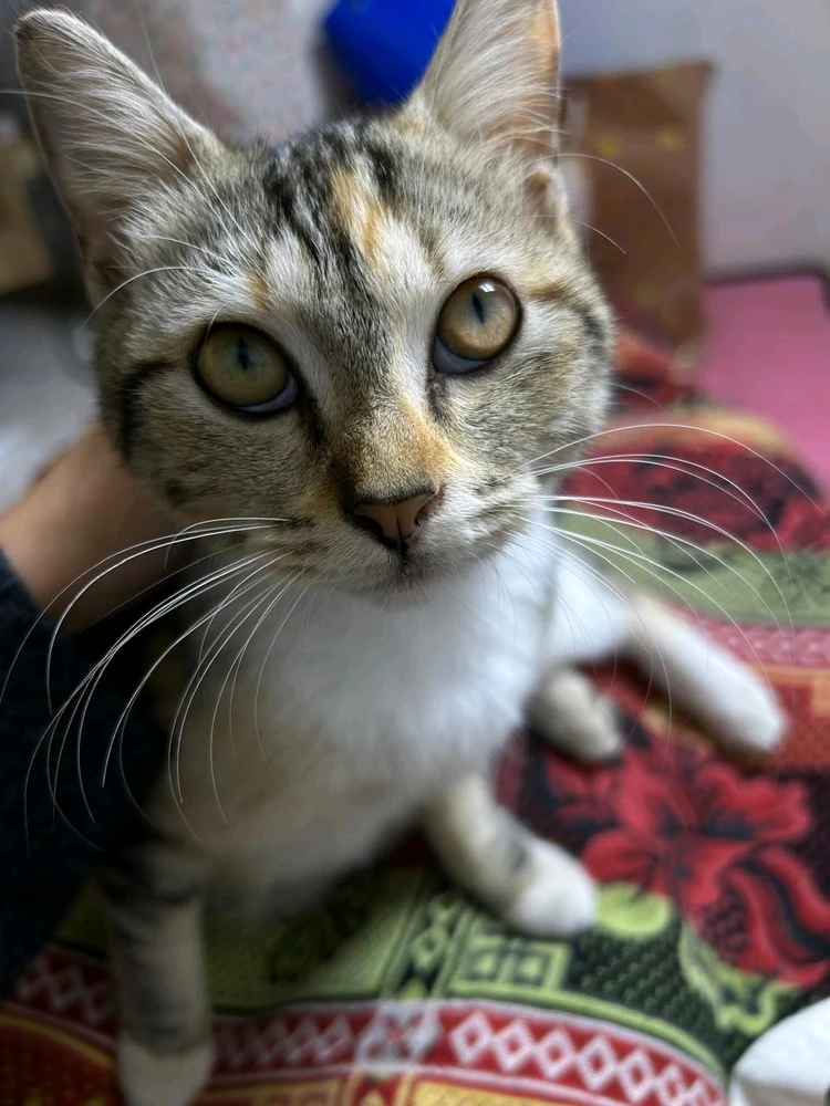 GIF uploaded by Lanny