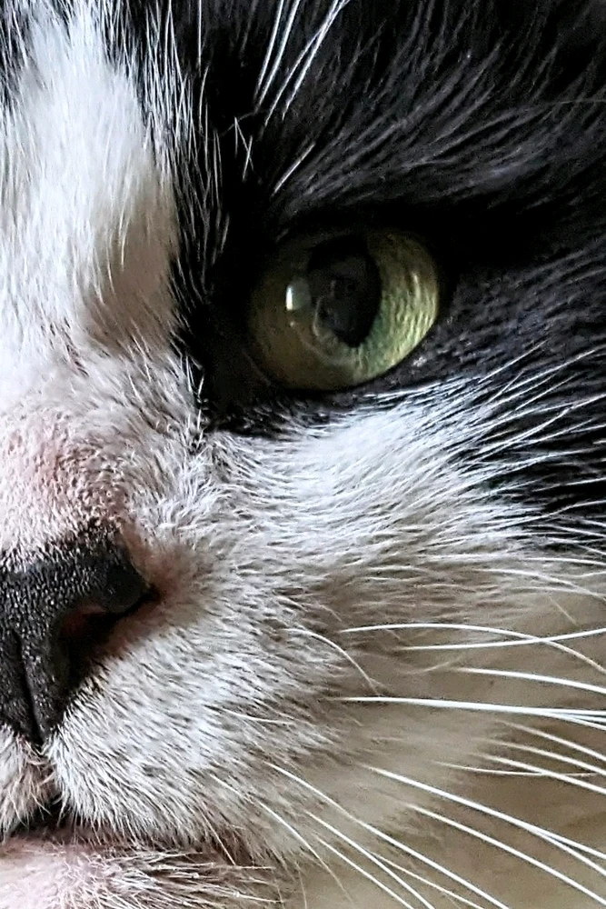 GIF üles laaditud kasutajalt Chris