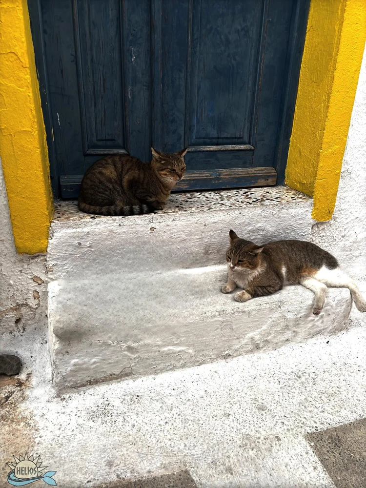 GIF uploaded by Zeno