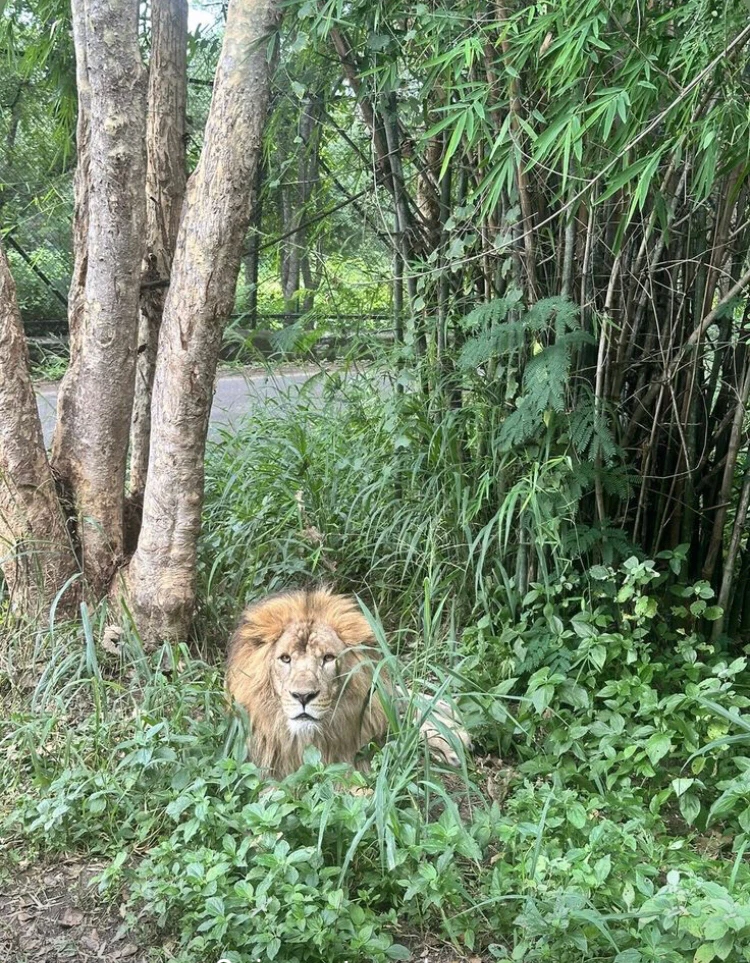 GIF yakaiswa naYusuf