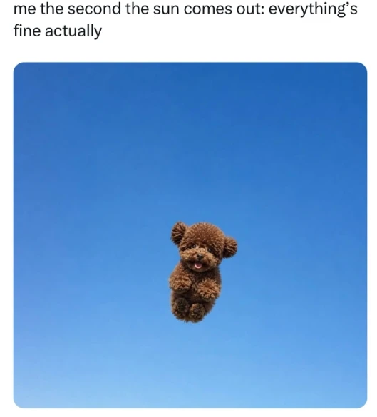 GIF uploaded by Carla