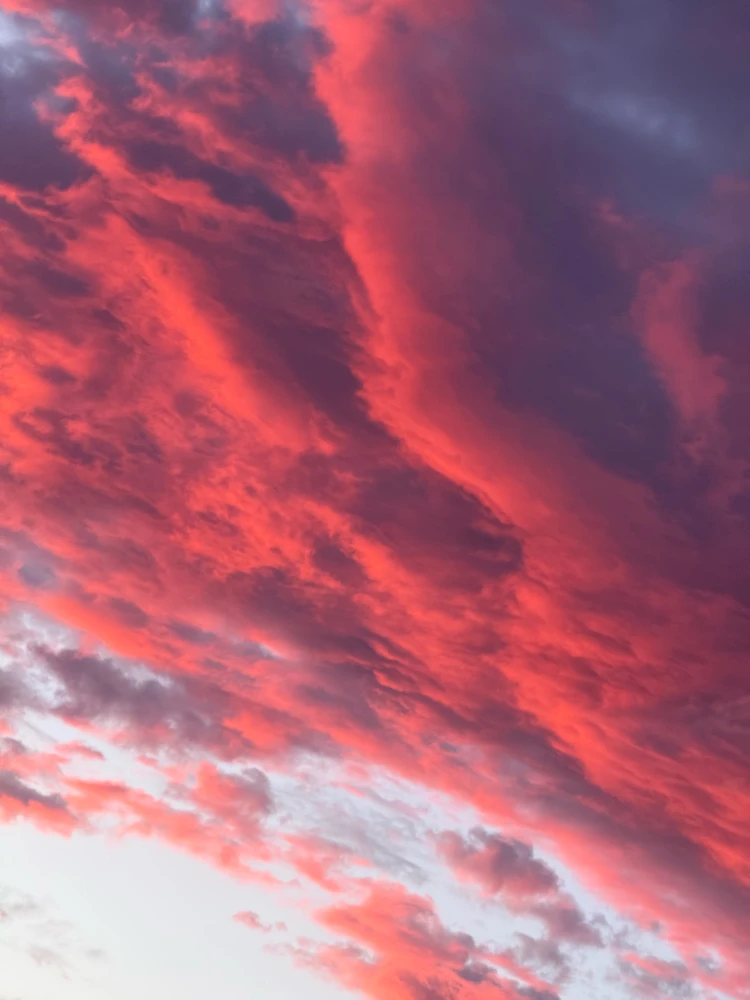 GIF hochgeladen von Blue