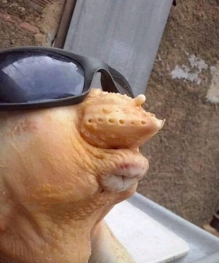 GIF naložil Esaf