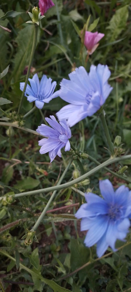 GIF uploaded by Kas
