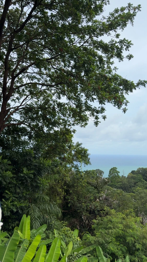 GIF uploaded by Vanshika
