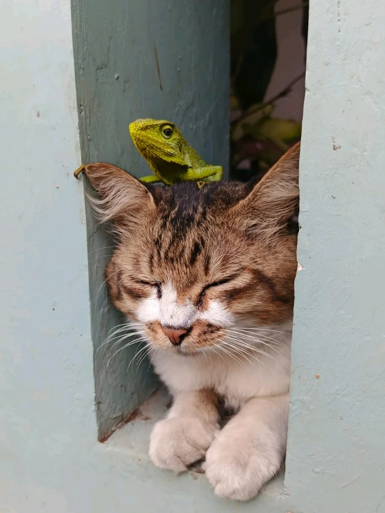 GIF diunggah ku Gigi