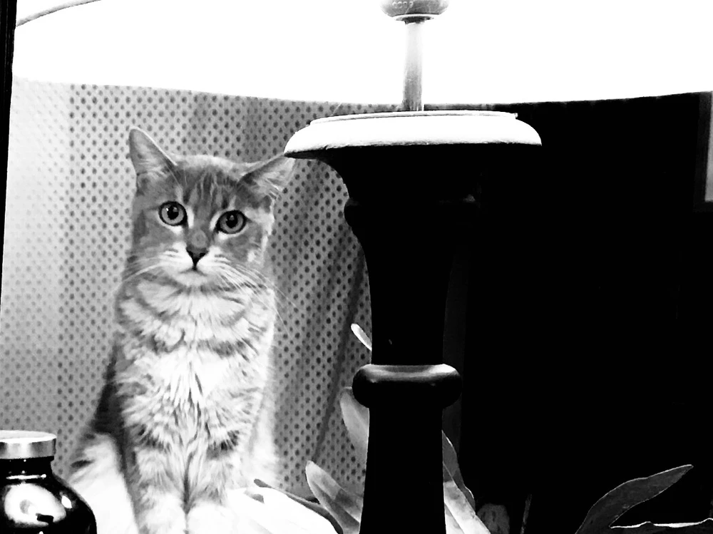 GIF uploaded by Hau
