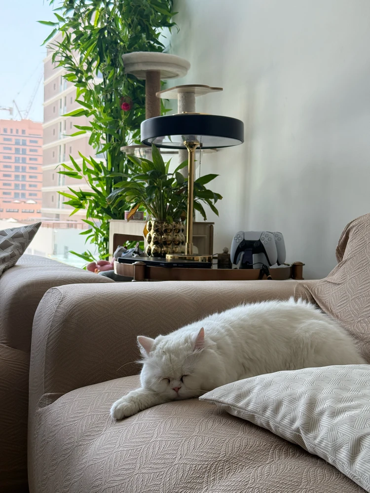 GIF uploaded by shyam